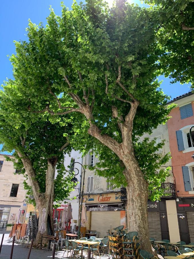 Fleurs De Provence Apartment L'Isle-sur-la-Sorgue Bagian luar foto